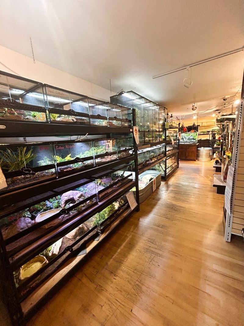Shelves of planted reptile and amphibian terrariums along a wood-floored aisle